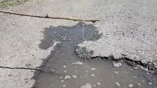 Pothole Fishing - Shorts