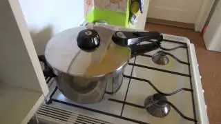 Fissler Test