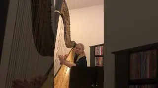 Winter Was Warm (Harp Cover)