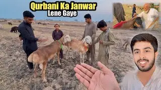 2 Qurbani Ke Janwar Lane Gaye 🐐 Zohaib Pendu | Zohaib Sabir