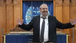 פרשת כי תצא תשפד   |  הרב גואל אלקריף