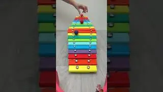 Best sound #marblerun #satisfying #marblerunrace #marble #toys #marbletrack #music #marbleball