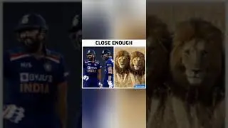 close enough #cricket #lions #UshaRani #UshaRani2k #shorts