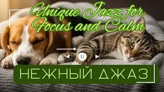 Unique Jazz for Focus and Calm/Нежный джаз для расслабления и учебы