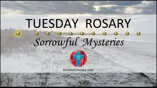 Tuesday Rosary &bull; Sorrowful Mysteries of the Rosary 💜 Tuesday, January 13, 2026 VIRTUAL ROSARY