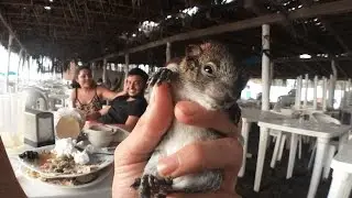 Encontre El Pocho Y le pasa esto... 😂 ( BayBaeBoy Vlogs )
