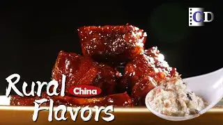 Let's go explore the gourmet food from ancient Chinese texts | China Documentary