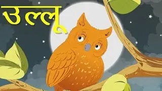 उल्लू  | Popular Kids Songs and Nursery Rhymes in hindi | Kidda TV For Children