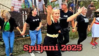 Energetska bomba u kolu⚡& Dina i Mešić dominiraju - Spiljani kod Konjica 14.09.2025. - 🎹 Amko Bend.