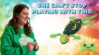 Amazing Wall-Climbing Lizard Toy! Chele Can’t Stop Playing 🦎