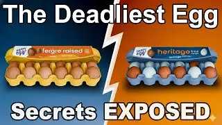 DON&rsquo;T Buy Eggs Before You Watch This Video (Here's What To Look For)