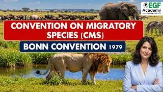 CMS l Convention On Migratory Species l Bonn Convention 1979 l Bonn Convention On Migratory Species