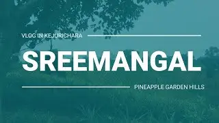 Pineapple garden hills | SREEMANGAL