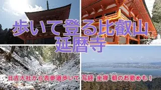【比叡山】 歩いて登る延暦寺観光 日吉大社もめぐり 写経 坐禅 朝のお勤めも