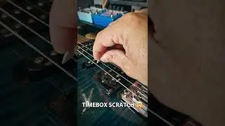 Regular or Timebox Scratch 🤔 #pedalguitarra #musicos #reverbpedal