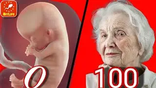 TENTEI VIVER AT&Eacute; 100 ANOS,SO QUE COMETI UM CRIME*BIT LIFE#gameplayvideo#bitlife #crime#0a100#100dias