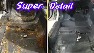 When The owner Forgot That the interior Needed Cleaning