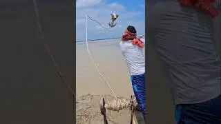 Amazing Fishing Technique  In River #fishingbait