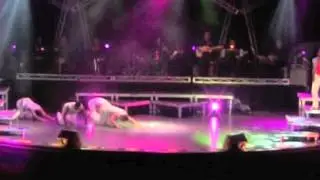 Bobby McGuckin's Dance Reel 2012