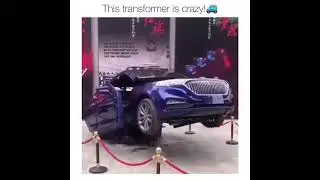 crazy 