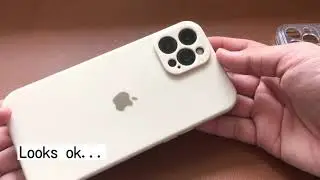 AKSAYA SA PERA? PHP 55  iPhone 12 Pro Max Cases from Shopee