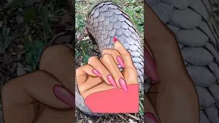 Crazy Facts About Pangolins #trending #shorts #facts