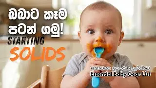 බබාට කෑම පටන් ගමු: අත්‍යවශ්‍ය උපකරණ ලැයිස්තුව | Baby Solid Food Essentials