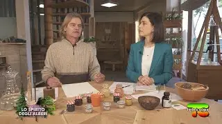 Lo Spirito degli Alberi: i derivati degli alberi, i colori 25.03.2022