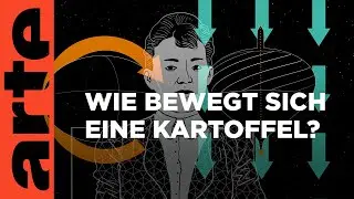 Der Kowalewskaja-Kreisel | Mathewelten | ARTE