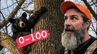 Охота на медведя разворачивается от нуля до ста за считанные минуты.