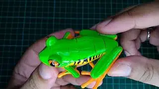 Merakit 3D puzzle Tree Frog 4D Master