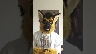Meritokratie