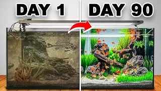 I Built a Giant Shrimp Ecosystem
