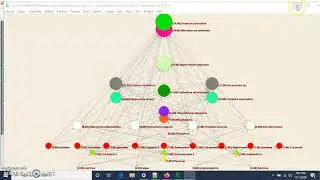 Working with food webs in Pajek