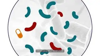 How does antibiotic resistance develop