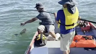 San Diego Bay- Fall Fishing | Halibut, Bass, Rays