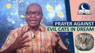 NIGHT PRAYER AGAINST WITCHCRAFT CATS IN DREAM - Evangelist Joshua Orekhie