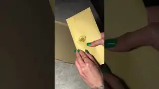UNBOXING golden diploma TOP 100 BLOGGERS AWARD