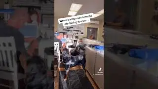 Gun store background checks