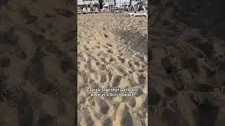 Is the 'Germans dig holes at Dutch beaches' stereotype actually true? 😅