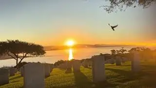 CatTV: Catrise!  Sunrise on 10/17/2025 at Fort Rosecran national cemetery in San Diego, CA