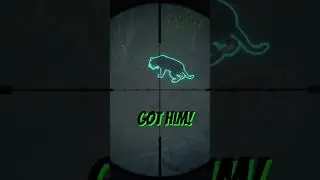 Rare Tiger #cotw #gaming #gameplay #rare #animals #thehunter #games
