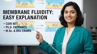 Membrane fluidity in cell membrane. 