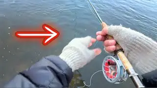 The Most Overlooked Fly Fishing Technique (for the NEW Fly Fisher)