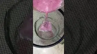 Black Currant / Falsa juice | Single Dish