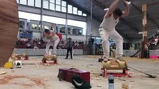 300mm Underhand Elimination Championship Semi Final 2 G Youles vs K Steers Ekka 2019