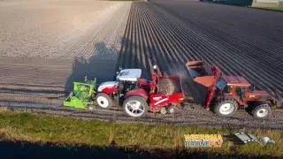 Poten met Grimme pootmachine