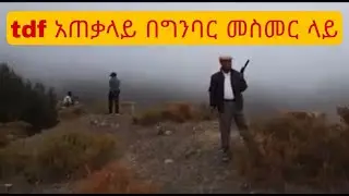 TDF General on FrontLine in Amhara
