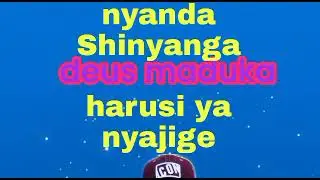 nyanda Shinyanga harusi ya nyajige msambazaji maduka channel 2025