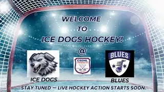 PW CS Prospects - Regular Season - IceDogs @  Blues
